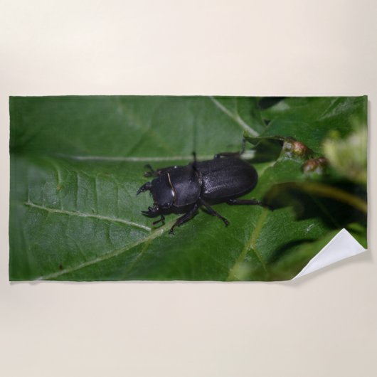 Serviette De Plage Dorcus parallelipipedus, le moindre dendroctone du (Devant)