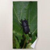 Serviette De Plage Dorcus parallelipipedus, le moindre dendroctone du (Devant)