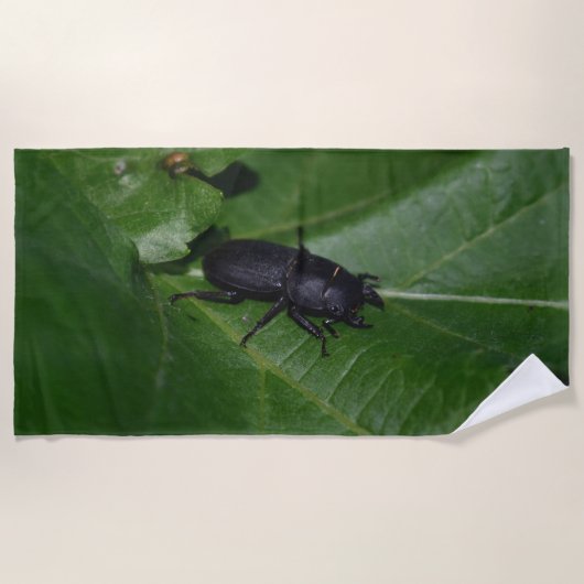 Serviette De Plage Dorcus parallelipipedus, le moindre dendroctone du (Devant)