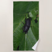 Serviette De Plage Dorcus parallelipipedus, le moindre dendroctone du (Devant)