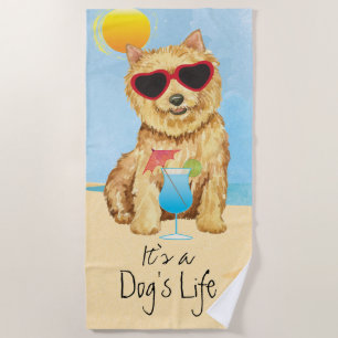 Serviette De Plage Été Norwich Terrier Beach Towne