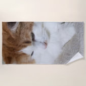 Serviette De Plage (Feline Fancy) Contemplation Kitty : Photo Cat (Devant)