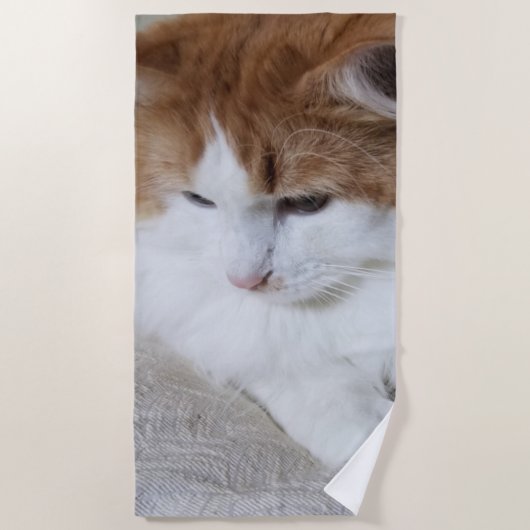 Serviette De Plage (Feline Fancy) Contemplation Kitty : Photo Cat (Devant)