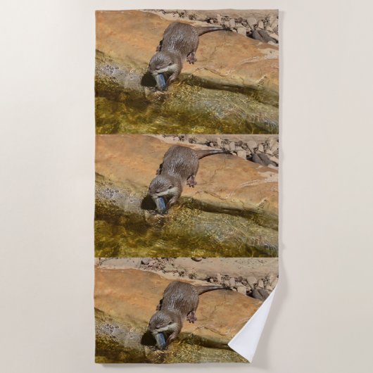 Serviette De Plage **"Fête de Pondside : Un Otter et son Catch"** (Devant)