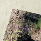 Serviette De Plage Grand gars (En situation)