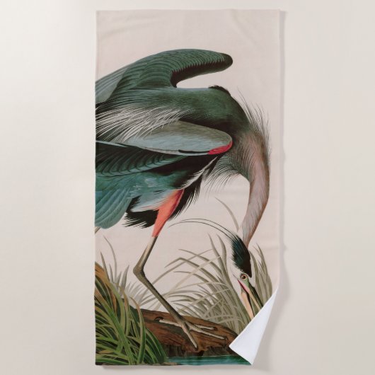 Serviette De Plage Great Blue Heron Birds of America Audubon Imprimer (Devant)