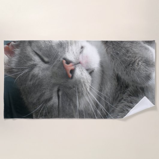 Serviette de plage grise mignonne de chat (Devant)