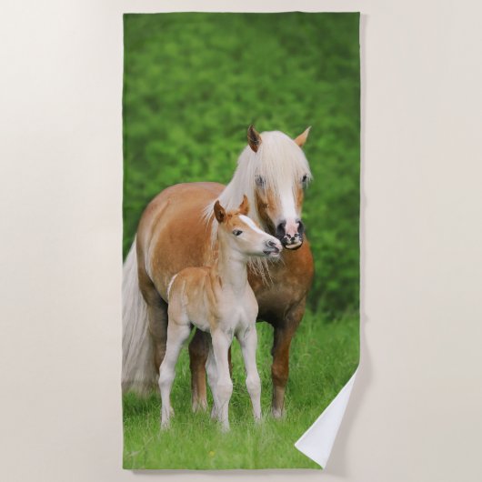 Serviette De Plage Haflinger Horse Cute Baby Foin Kiss Mum Pony Photo (Devant)