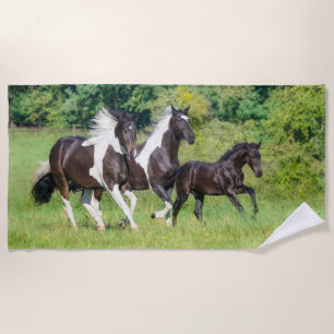 Serviette De Plage Harde de Chevaux Pinto Barock avec mignonne Foal G