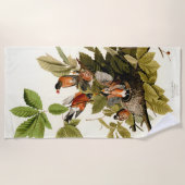 Serviette De Plage Illustration Audubon American Robin Wildlife Bird (Devant)