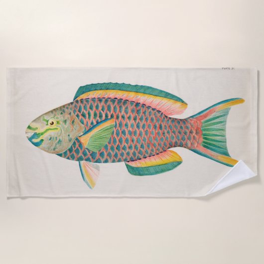 Serviette De Plage Illustration scientifique du poisson vintage (Devant)