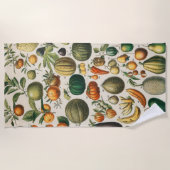 Serviette De Plage Illustration scientifique végétale des fruits (Devant)