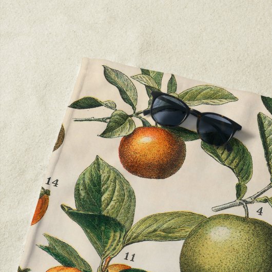 Serviette De Plage Illustration scientifique végétale des fruits (En situation)