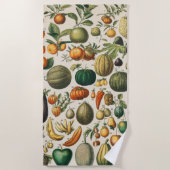 Serviette De Plage Illustration scientifique végétale des fruits (Devant)