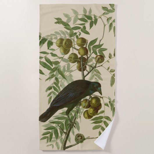 Serviette De Plage Impression d'oiseau Grackle violet d'Audubon Botan (Devant)