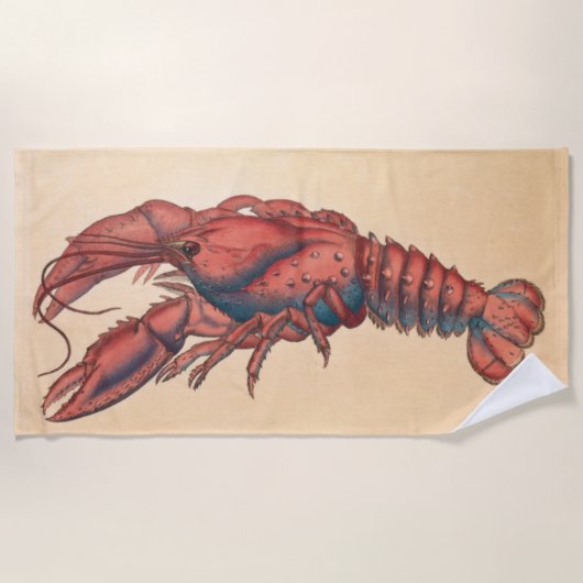 Serviette De Plage James Sowerby Homard serbé (Devant)
