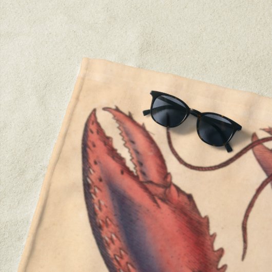 Serviette De Plage James Sowerby Homard serbé (En situation)