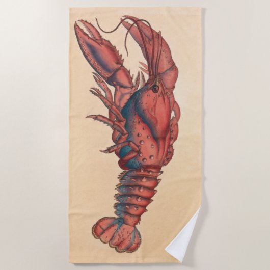 Serviette De Plage James Sowerby Homard serbé (Devant)