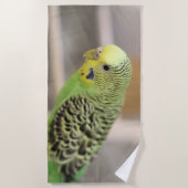 Serviette De Plage Kiwi (Devant)