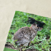 Serviette De Plage Lapin (En situation)
