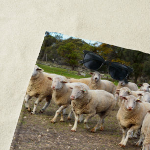 Serviette De Plage Les Moutons Marchent, Lavent