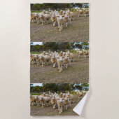 Serviette De Plage Les Moutons Marchent, Lavent (Devant)