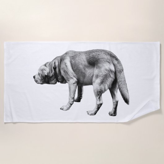 Serviette De Plage Longue bande, ciel ouvert (Devant)