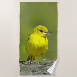 Serviette De Plage Loriole des vergers - Photographie originale