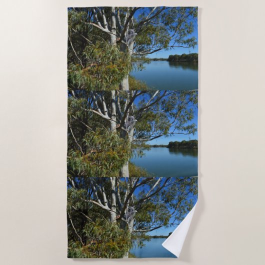 Serviette De Plage L'Ours De Koala Dormait Dans Un Arbre De Gomme, (Devant)