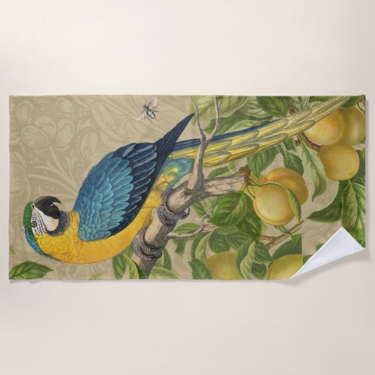 Serviette De Plage Macaw Blue Jaune Tropical Jungle Antique (Devant)