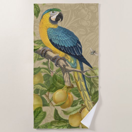 Serviette De Plage Macaw Blue Jaune Tropical Jungle Antique (Devant)
