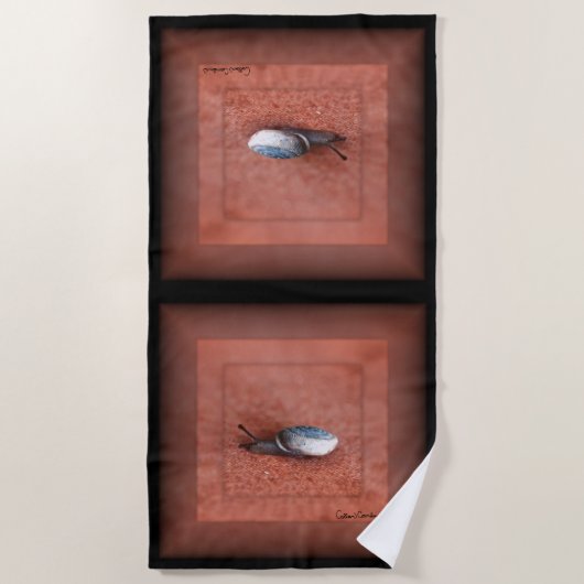 Serviette De Plage Macro Photograph of Snail on Terracotta (Devant)