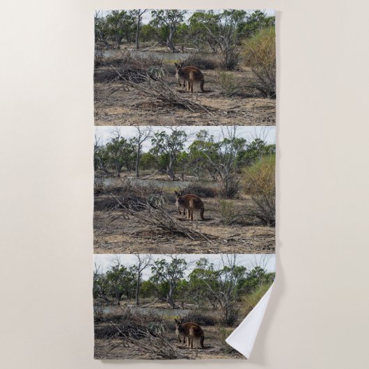 Serviette De Plage Moment tranquille : Kangaroo australien à Billabon (Devant)