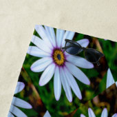 Serviette De Plage Motif blanc (En situation)