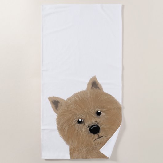 Serviette De Plage Norwich Terrier Beach Towel (Devant)