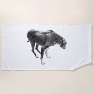 Serviette De Plage Observateur de piste de givre