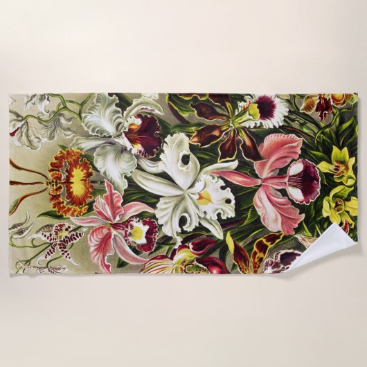 Serviette De Plage Orchidées, Orchidée Denusblumen Ernst Haeckel (Devant)