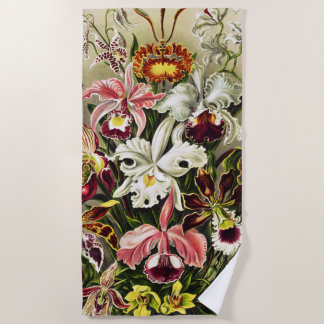 Serviette De Plage Orchidées, Orchidée Denusblumen Ernst Haeckel