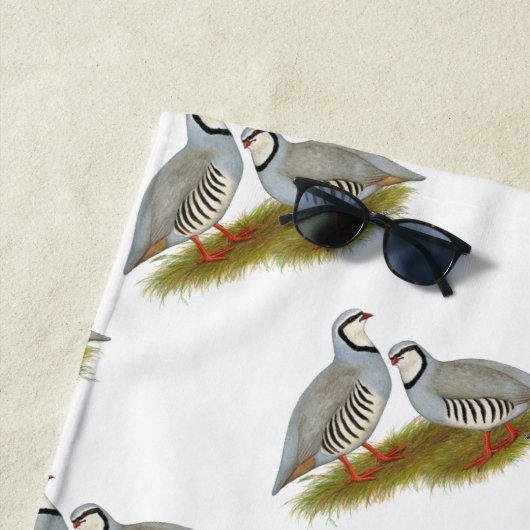 Serviette De Plage Paire de perdrix de Chukar (En situation)