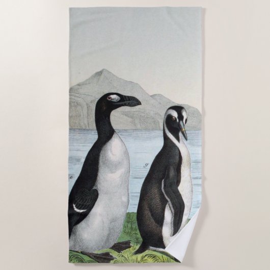 Serviette De Plage Paire De Pingouins - (Devant)