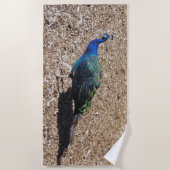 Serviette de plage Paon bleu indien (Devant)
