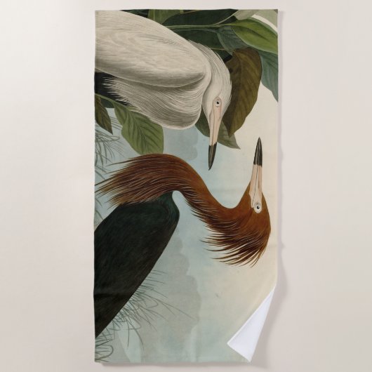 Serviette De Plage Peinture de la faune d'Audubon Heron violet (Devant)