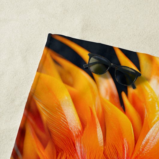 Serviette De Plage Perroquet (En situation)