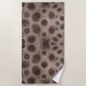 Serviette De Plage Petoskey Stone État du Michigan (Devant)