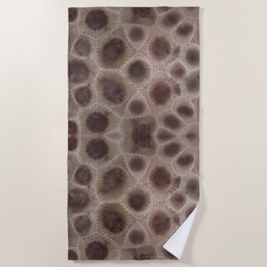 Serviette De Plage Petoskey Stone État du Michigan (Devant)
