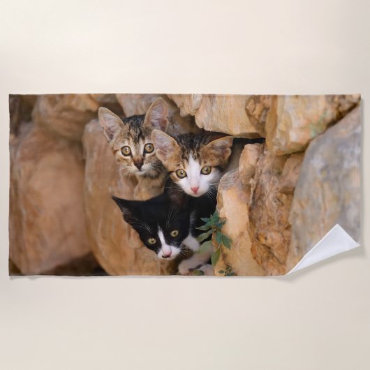 Serviette De Plage Photo drôle de trois de chat visages curieux (Devant)