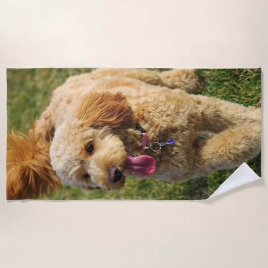 Serviette De Plage Photo Goldendoodle Dog (Devant)