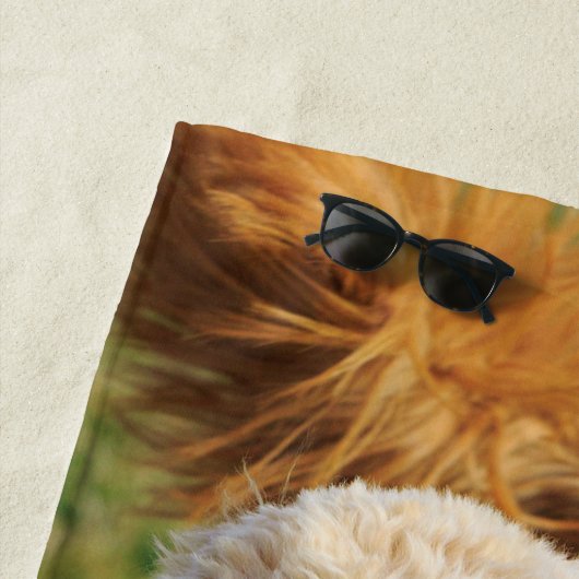 Serviette De Plage Photo Goldendoodle Dog (En situation)
