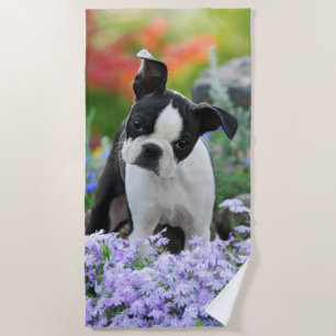 Serviette De Plage Photo principale animale de chiot mignon de chien