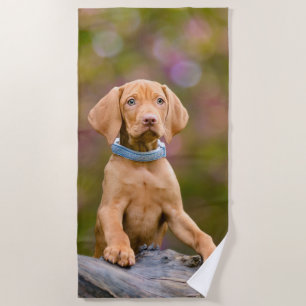 Serviette De Plage Photo puppyeyed mignonne de chiot de chien de